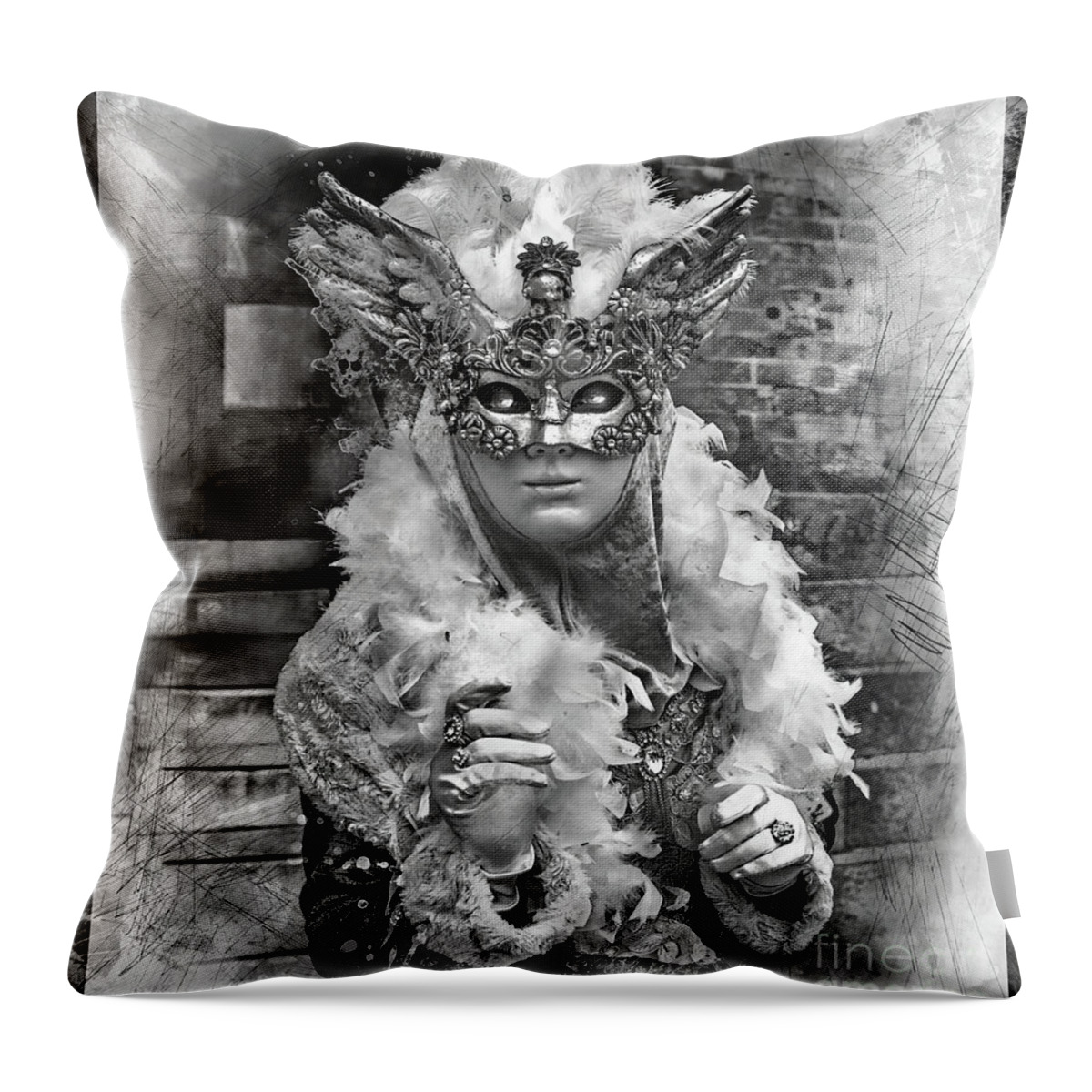 2017 Throw Pillow featuring the photograph In Grigio by Jack Torcello