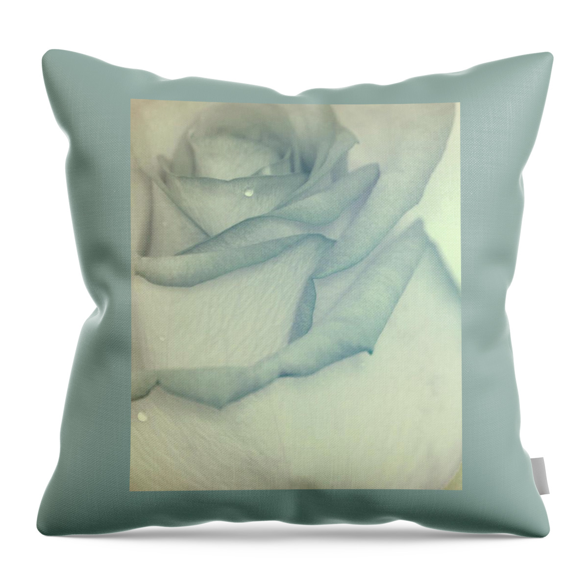 Rose Art Throw Pillow featuring the photograph In Heavenly Cloud by The Art Of Marilyn Ridoutt-Greene