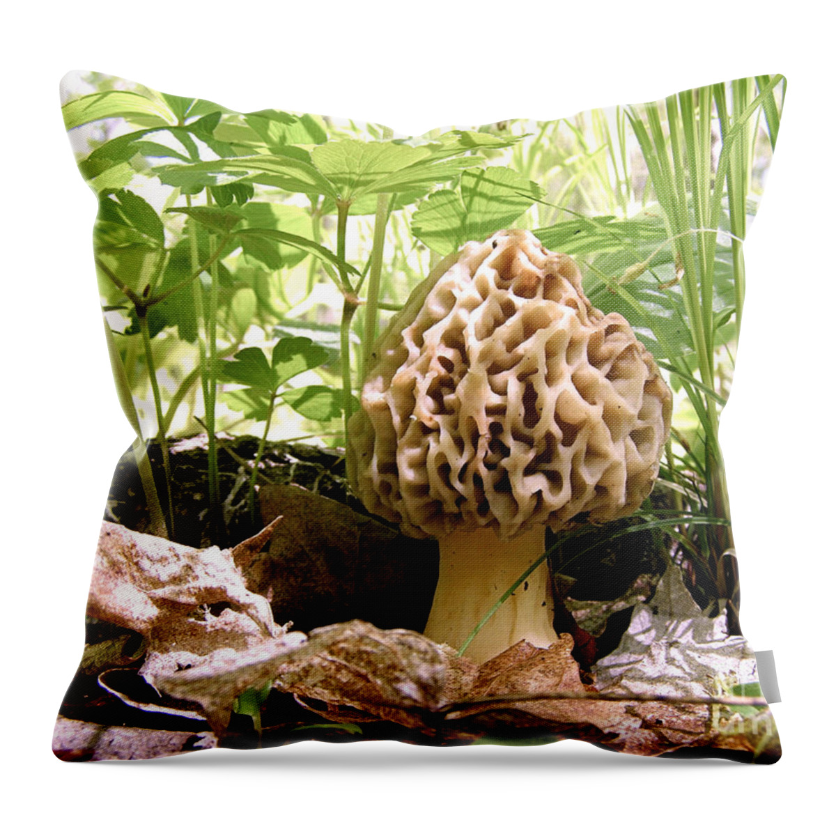 Morel Throw Pillow featuring the photograph In Hiding - Morel Mushroom by Angie Rea