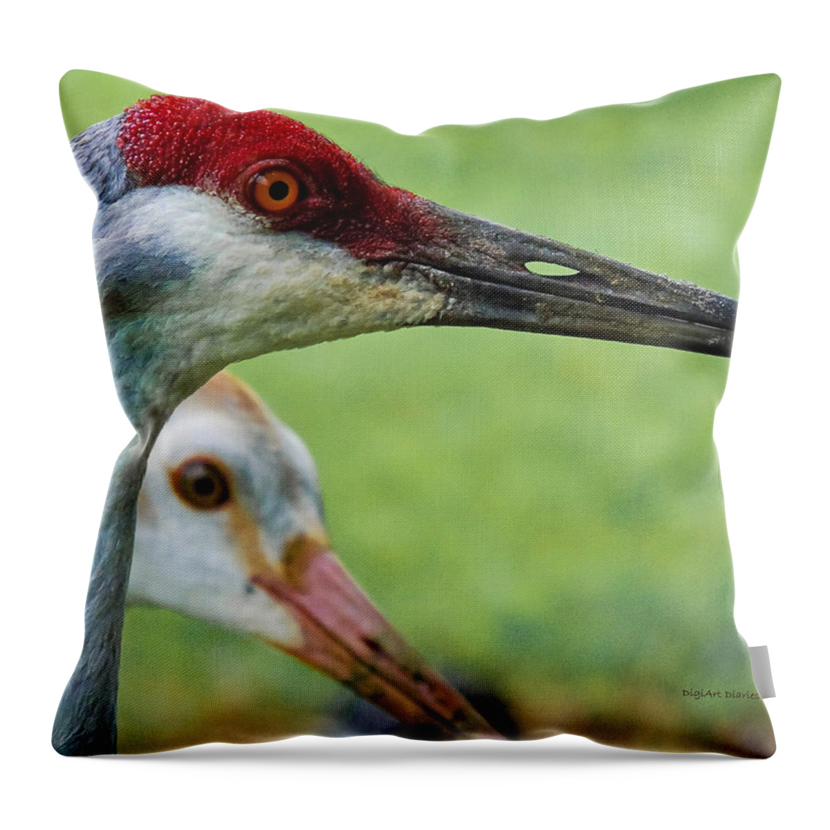 Sandhill Crane Throw Pillow featuring the photograph In Its Parents Shadow by DigiArt Diaries by Vicky B Fuller