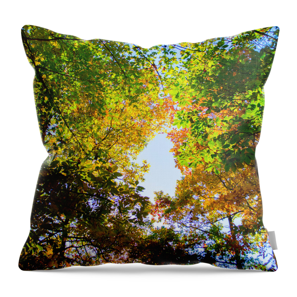 Fall Throw Pillow featuring the photograph In Many Colors by Parker Cunningham