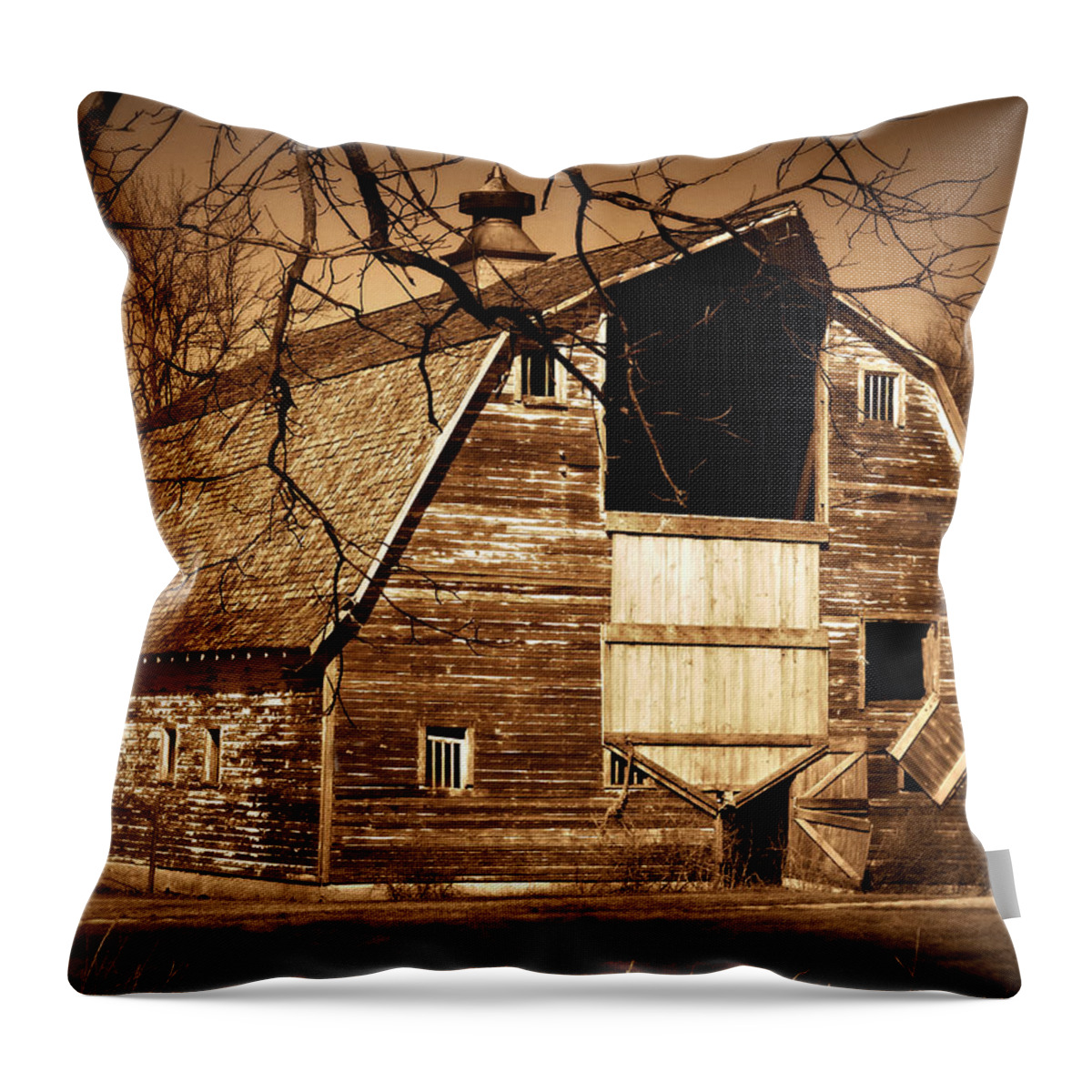 Barn Throw Pillow featuring the photograph In Need by Julie Hamilton