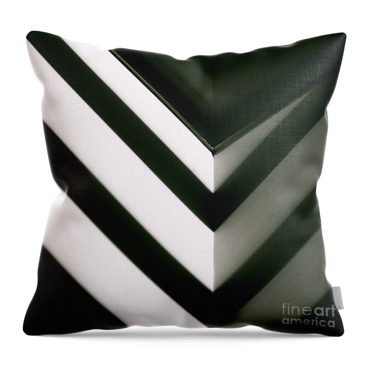 Cml Brown Throw Pillow featuring the photograph In Or Out by CML Brown