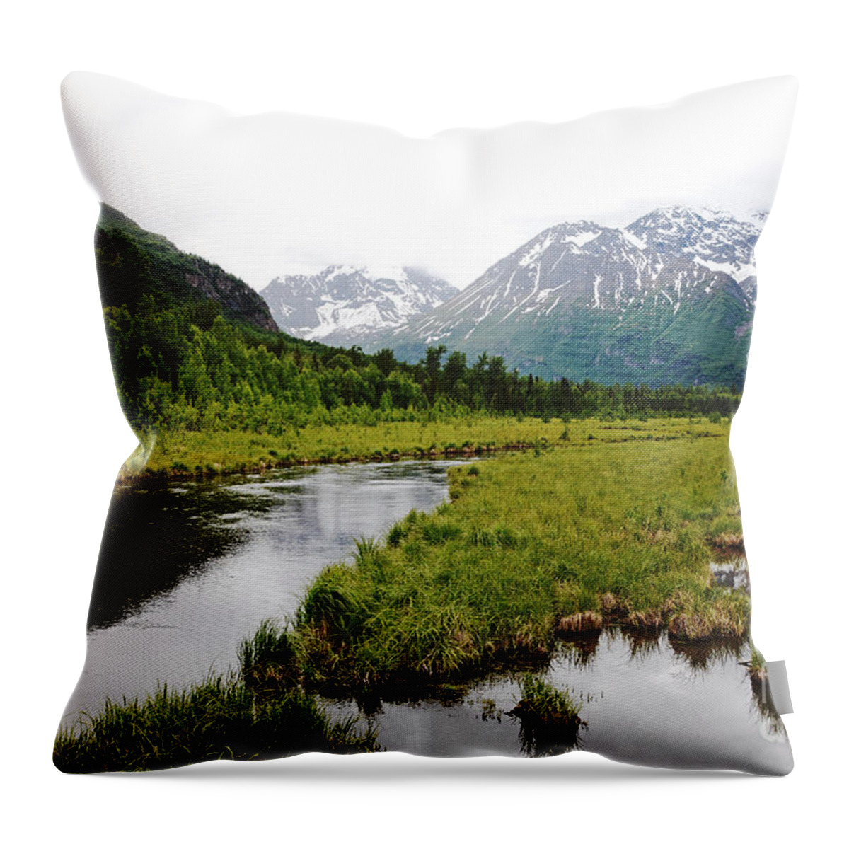 Alaska Throw Pillow featuring the photograph In Road To Denali by Lorenzo Cassina