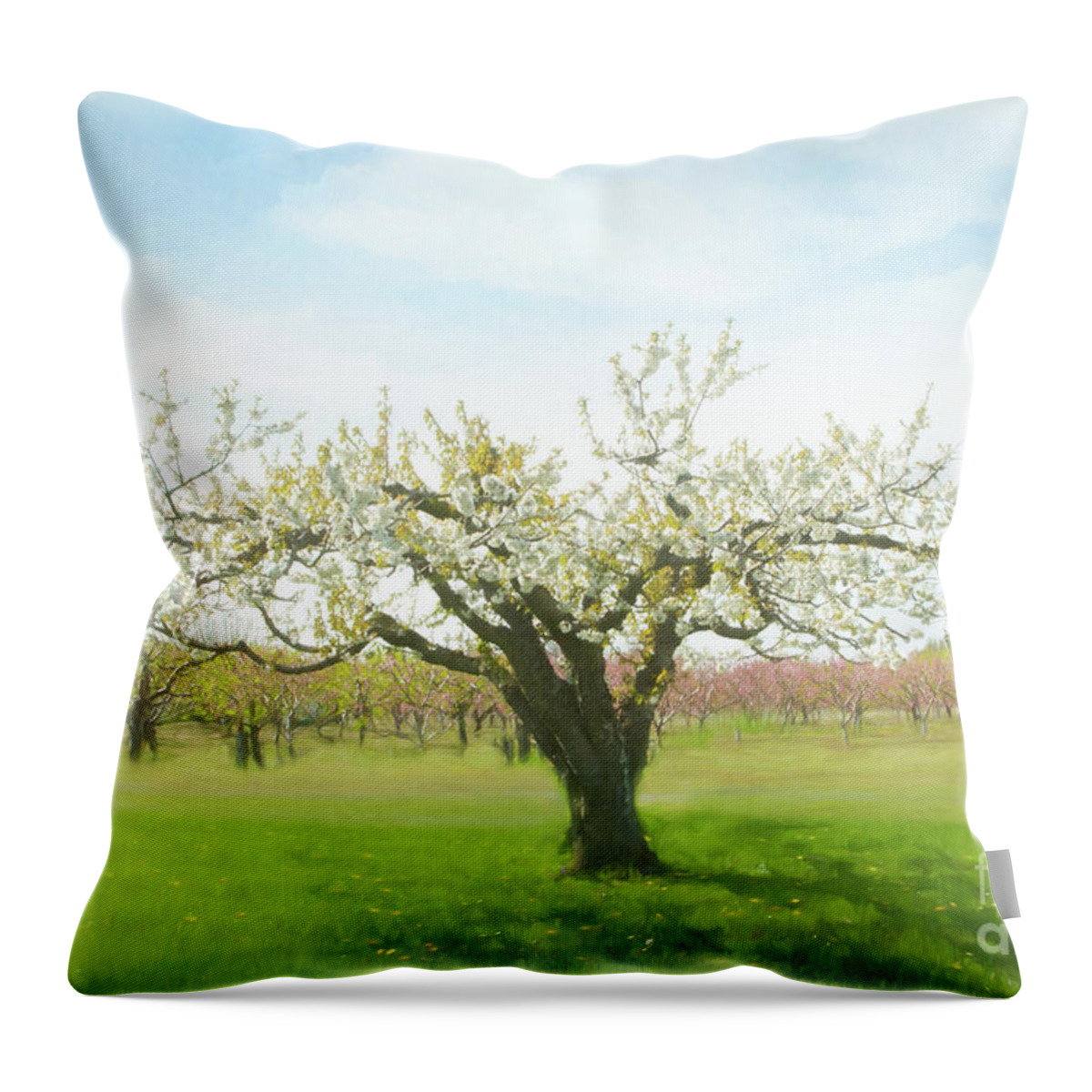 Niagara Throw Pillow featuring the photograph In Spring's Embrace by Marilyn Cornwell