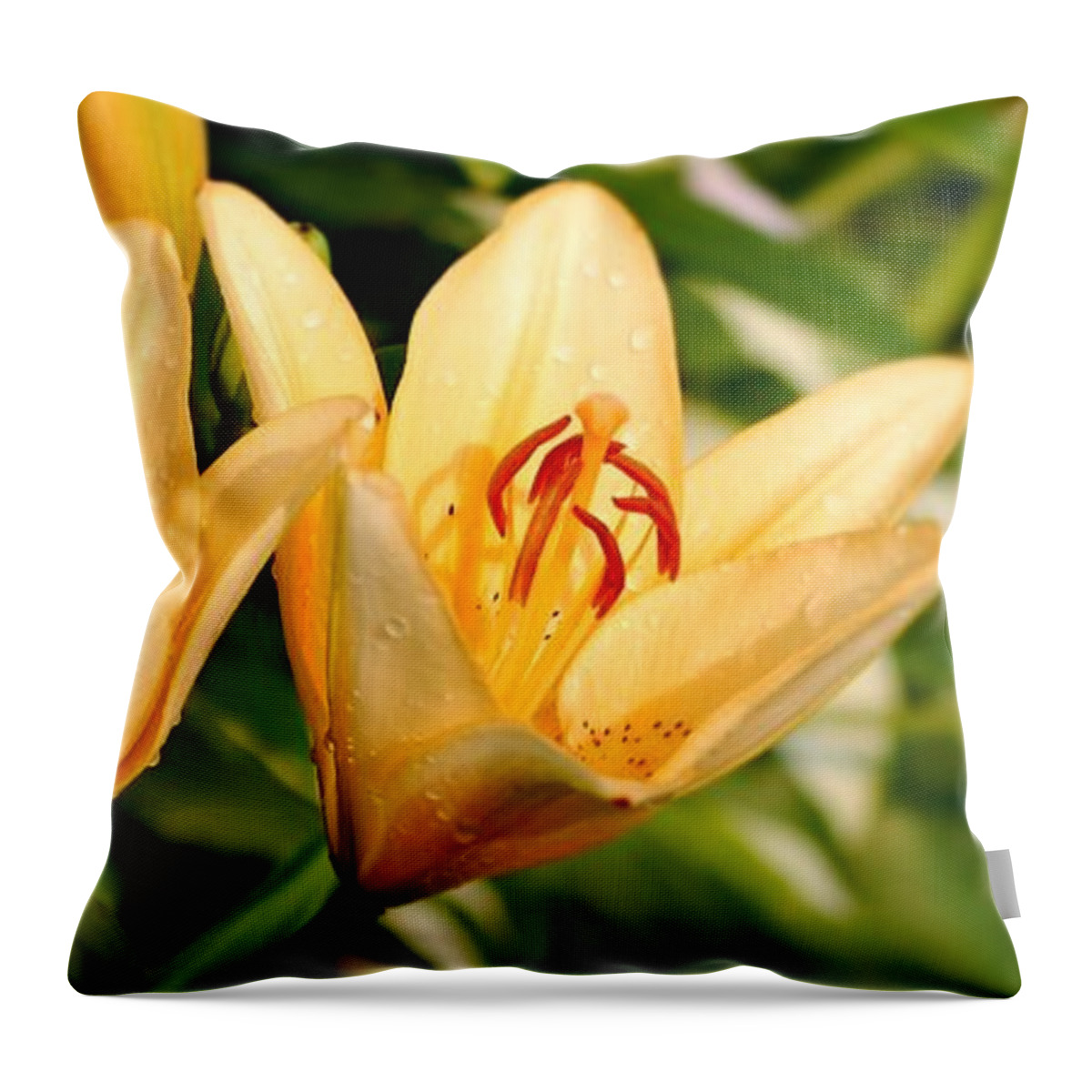 Lilly Flowers Throw Pillow featuring the photograph In The Beginning by Angie Tirado
