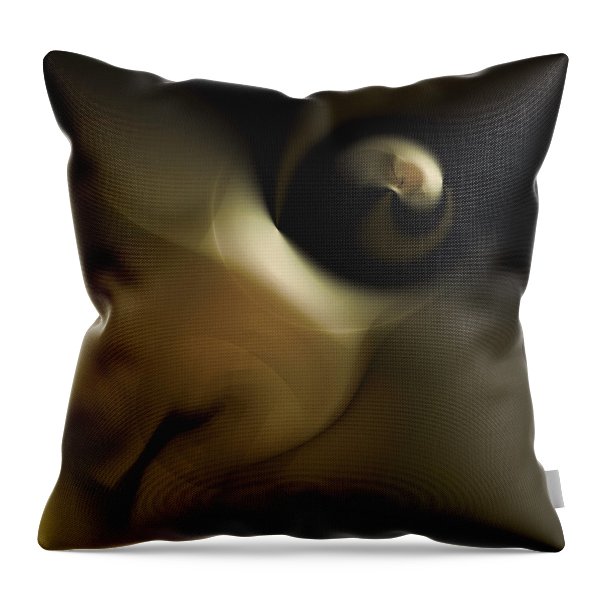 Vic Eberly Throw Pillow featuring the digital art In the Beginning by Vic Eberly