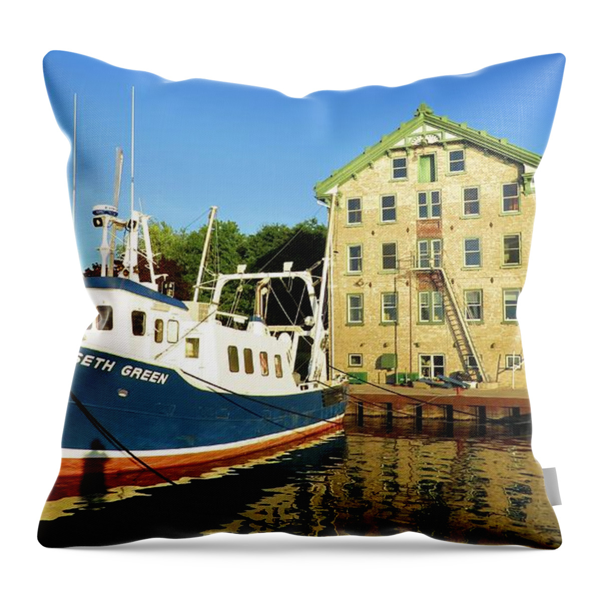 Cape Vincent Throw Pillow featuring the photograph In the Evening Sun by Dennis McCarthy