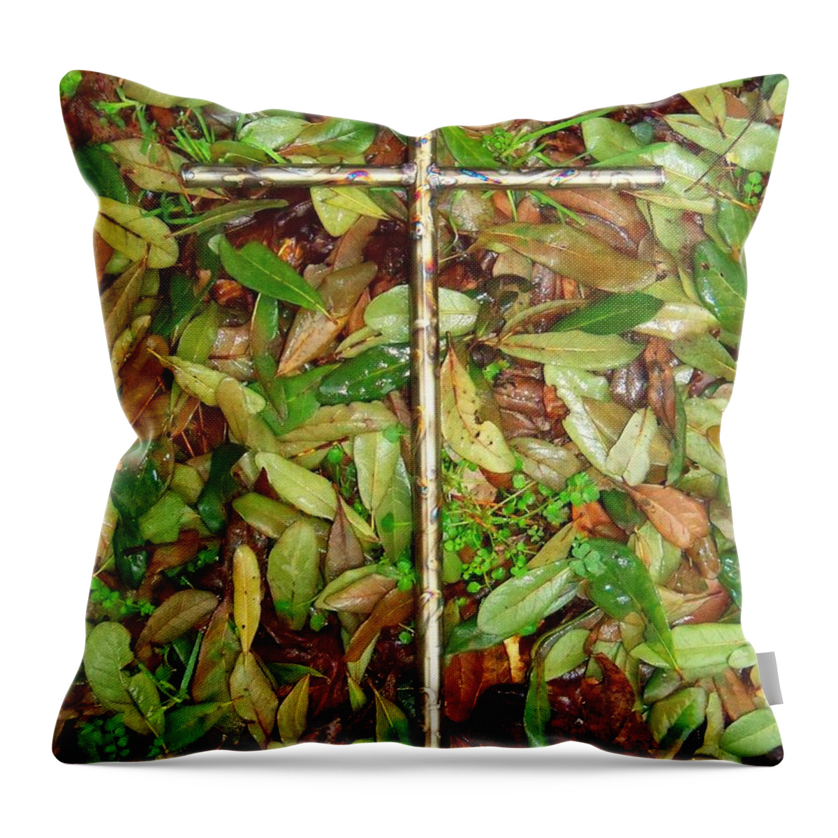 Cross Throw Pillow featuring the photograph In the Fall by Deborah Montana