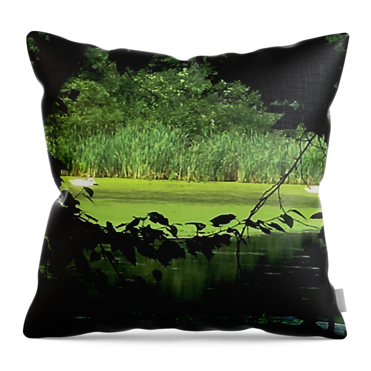 Pond Throw Pillow featuring the digital art In the Light of Day by Vincent Green
