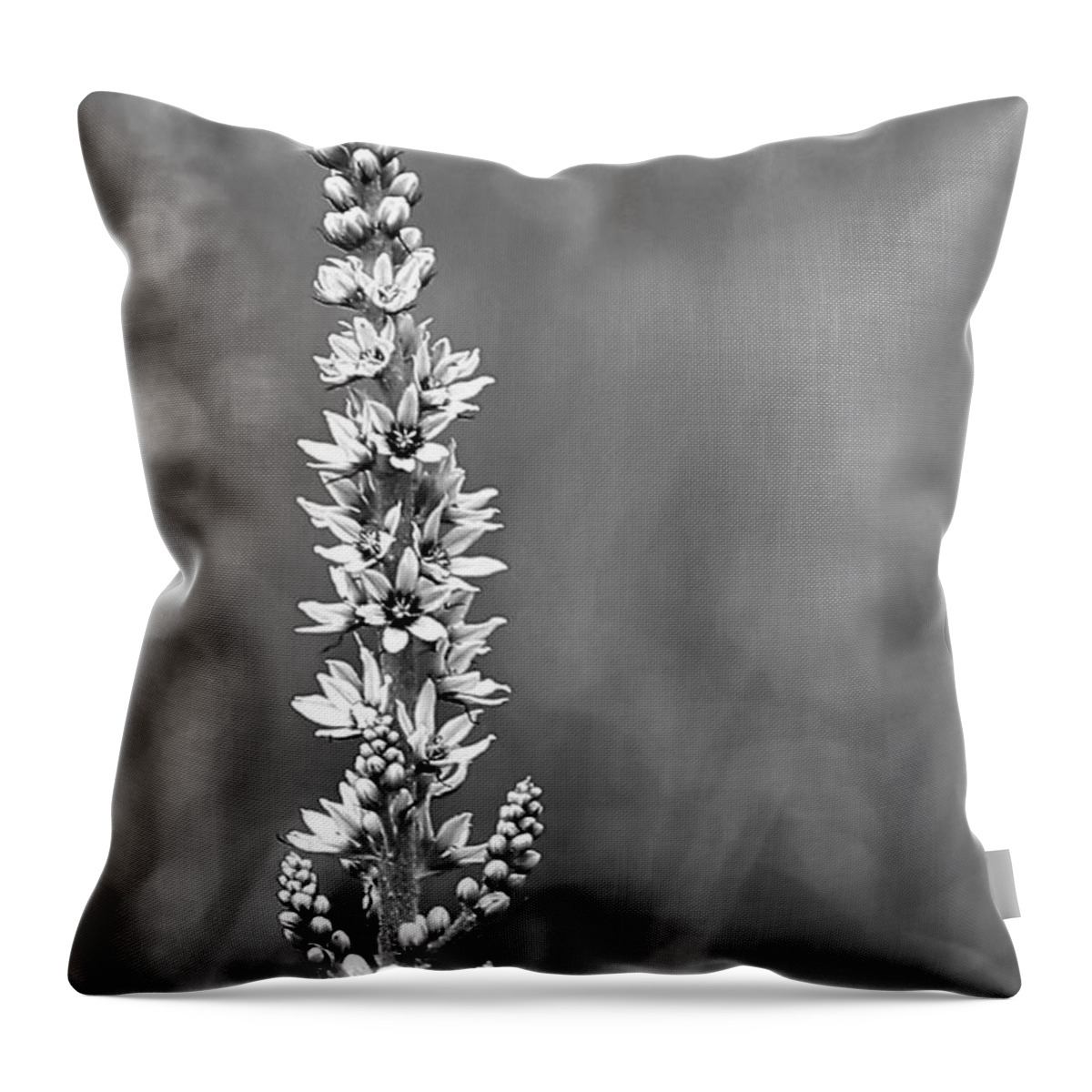 Flower Throw Pillow featuring the photograph In The Meadow by Sheila Ping