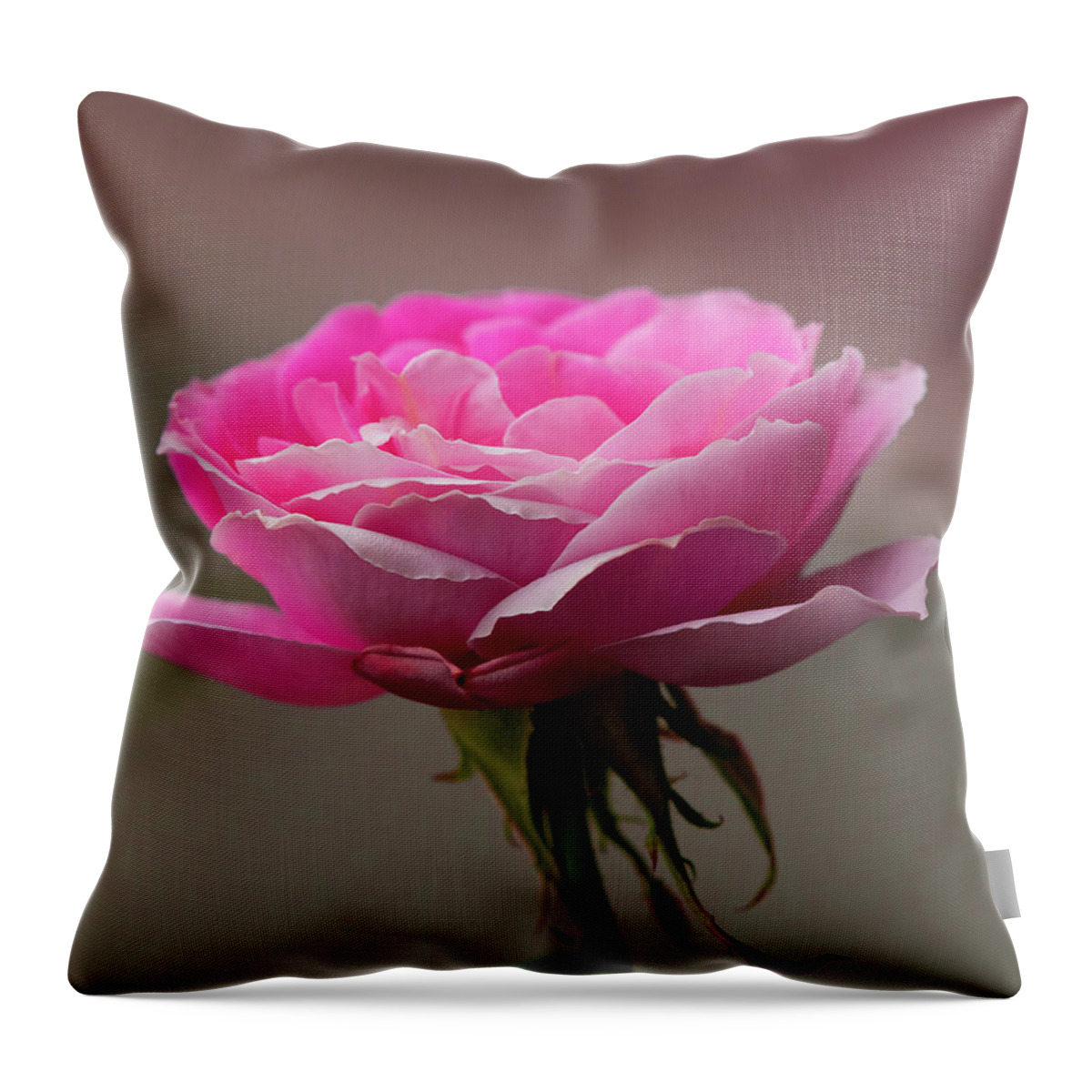Rose Throw Pillow featuring the photograph In The Mood Pink by Yeates Photography