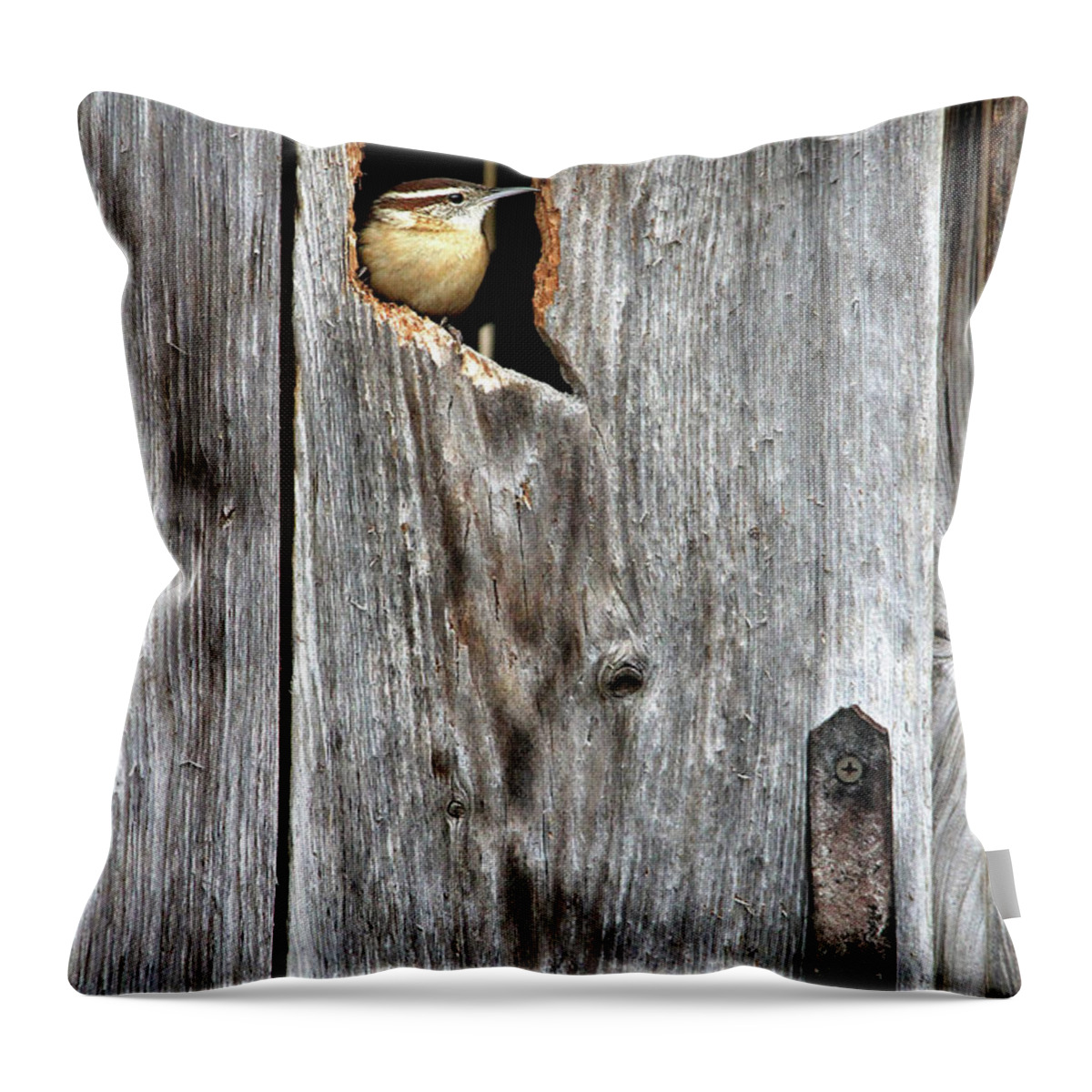 Birds Throw Pillow featuring the photograph In The Outhouse Shed by Trina Ansel