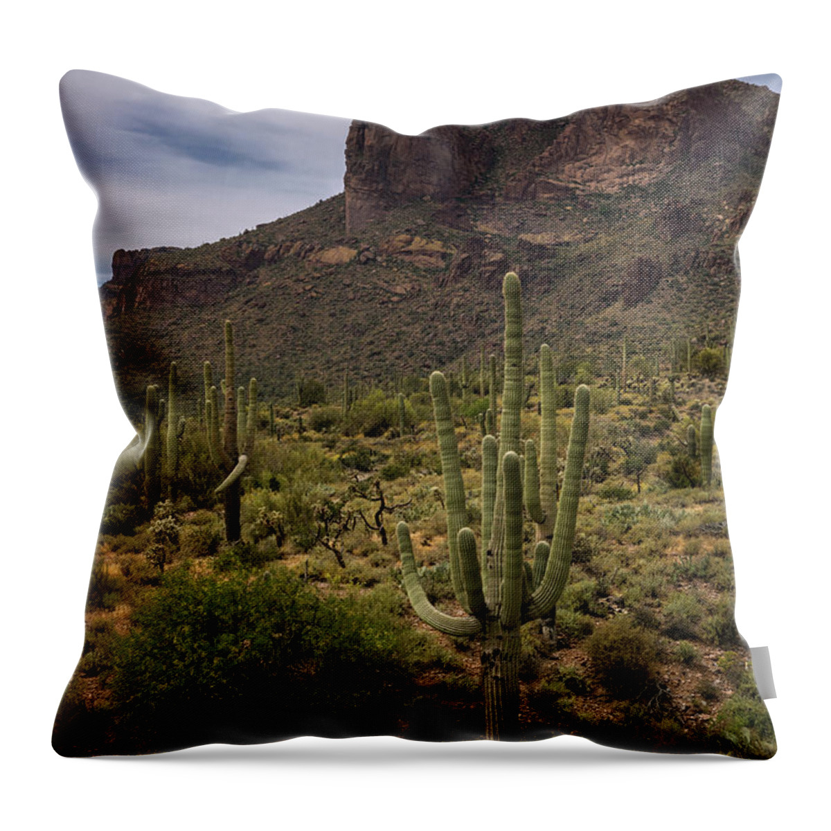 Arizona Throw Pillow featuring the photograph In the Presence of the Supes by Saija Lehtonen