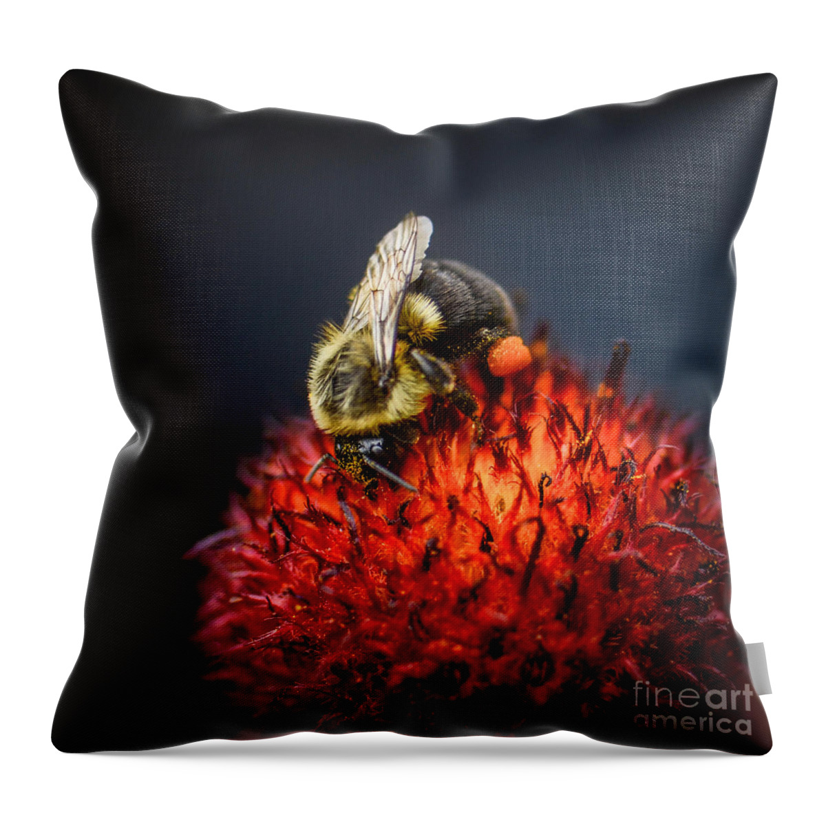 Bee Throw Pillow featuring the photograph In the Spotlight by Amy Porter