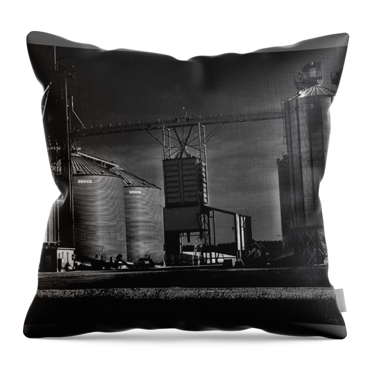 Black And White Throw Pillow featuring the photograph In The Still- Black And White by Adrian De Leon Art and Photography
