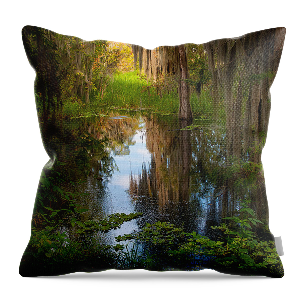Circle Bar B Reserve Throw Pillow featuring the photograph In the swamp by Carolyn D'Alessandro