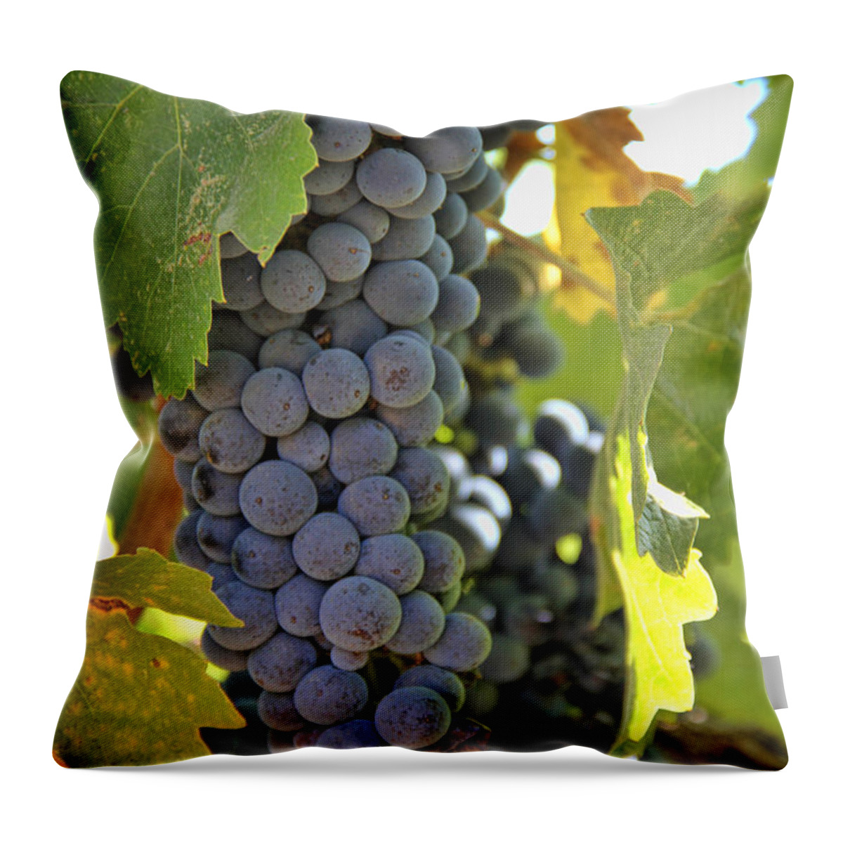Wine Throw Pillow featuring the photograph In the Vineyard by Nancy Ingersoll
