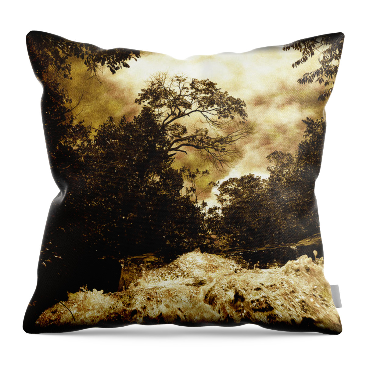 Nature Photography Throw Pillow featuring the photograph In the Waterfall by Patrick Klauss