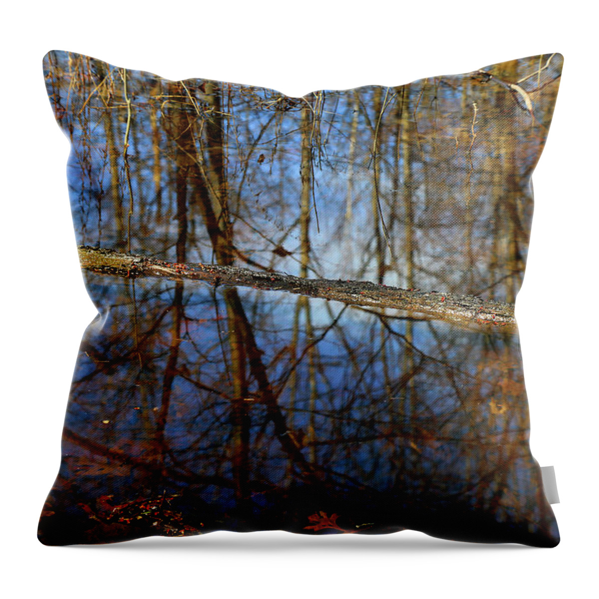 Wetland Throw Pillow featuring the photograph In the Wetland 3 by Mary Bedy