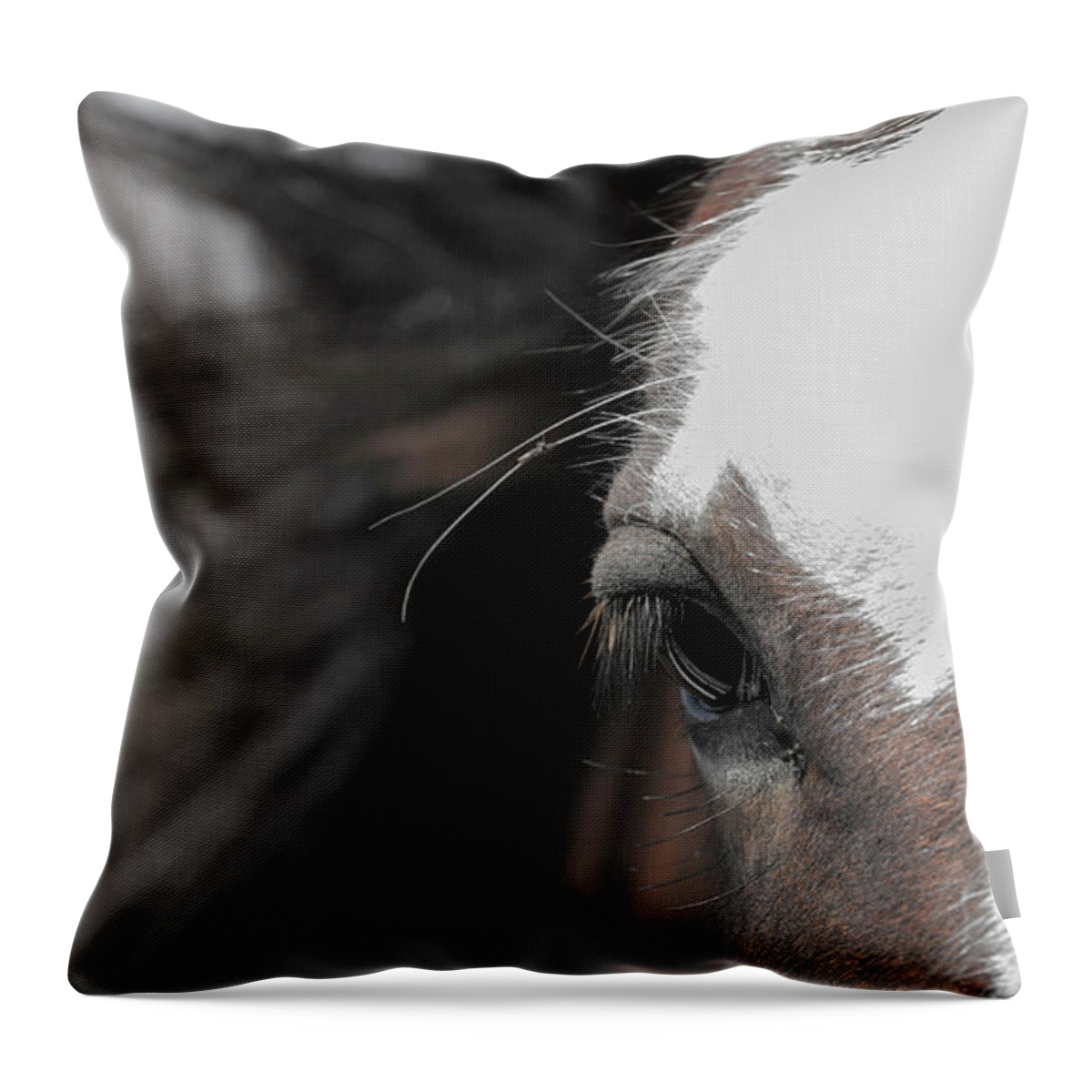 Horse Throw Pillow featuring the photograph In the Wind by Holly Ross