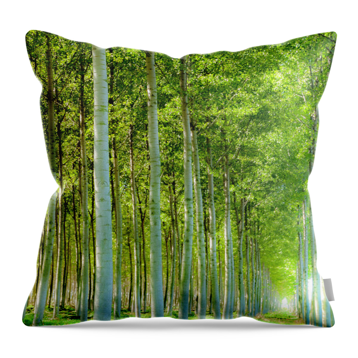 Woods Throw Pillow featuring the photograph In The Woods 4 by Wolfgang Stocker