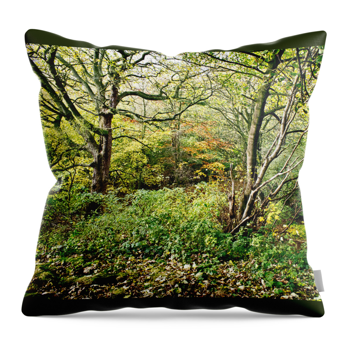 Tree Throw Pillow featuring the photograph In the woods by Elena Perelman