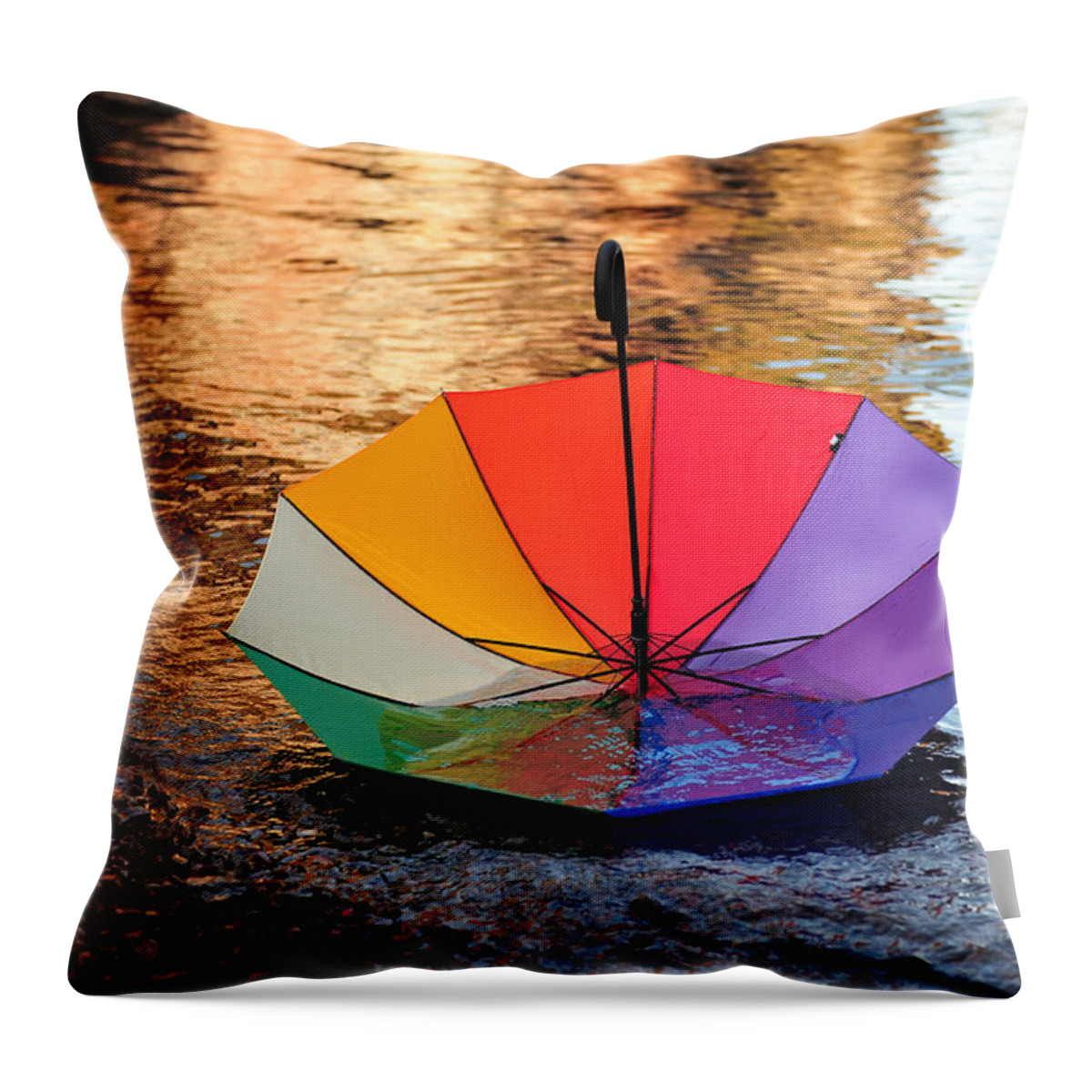Autumn Throw Pillow featuring the photograph In Trouble by Randi Grace Nilsberg