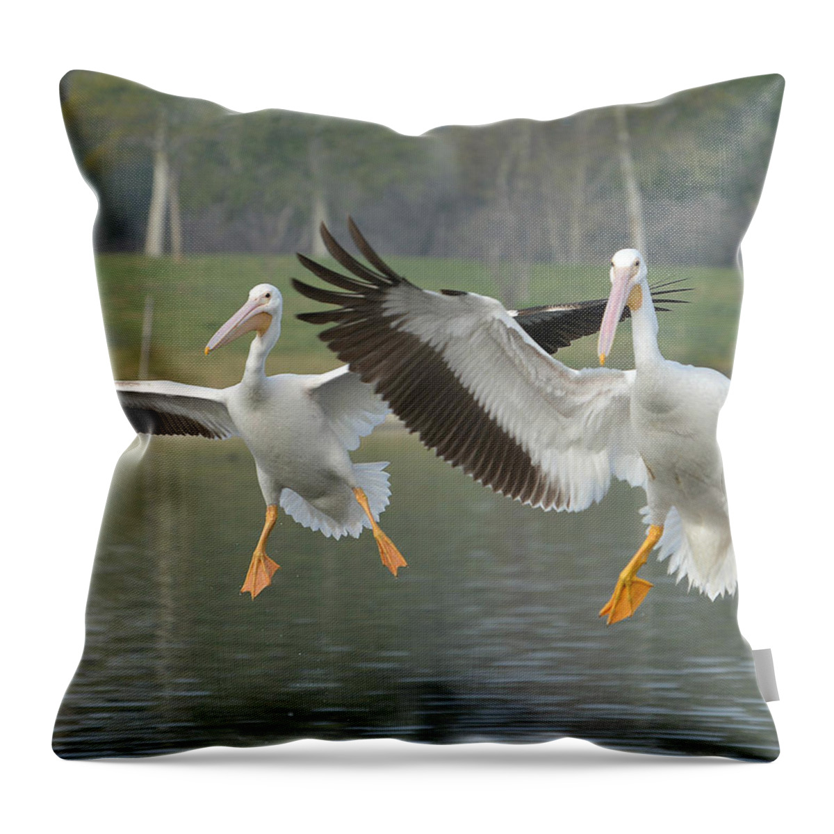 American White Pelicans Throw Pillow featuring the photograph In Unison by Fraida Gutovich