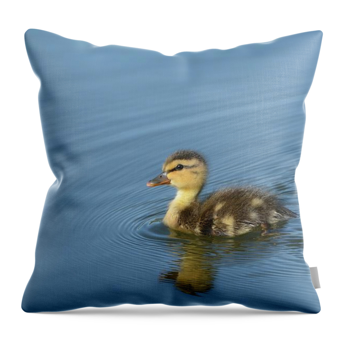 Baby Mallard Throw Pillow featuring the photograph Independence by Fraida Gutovich
