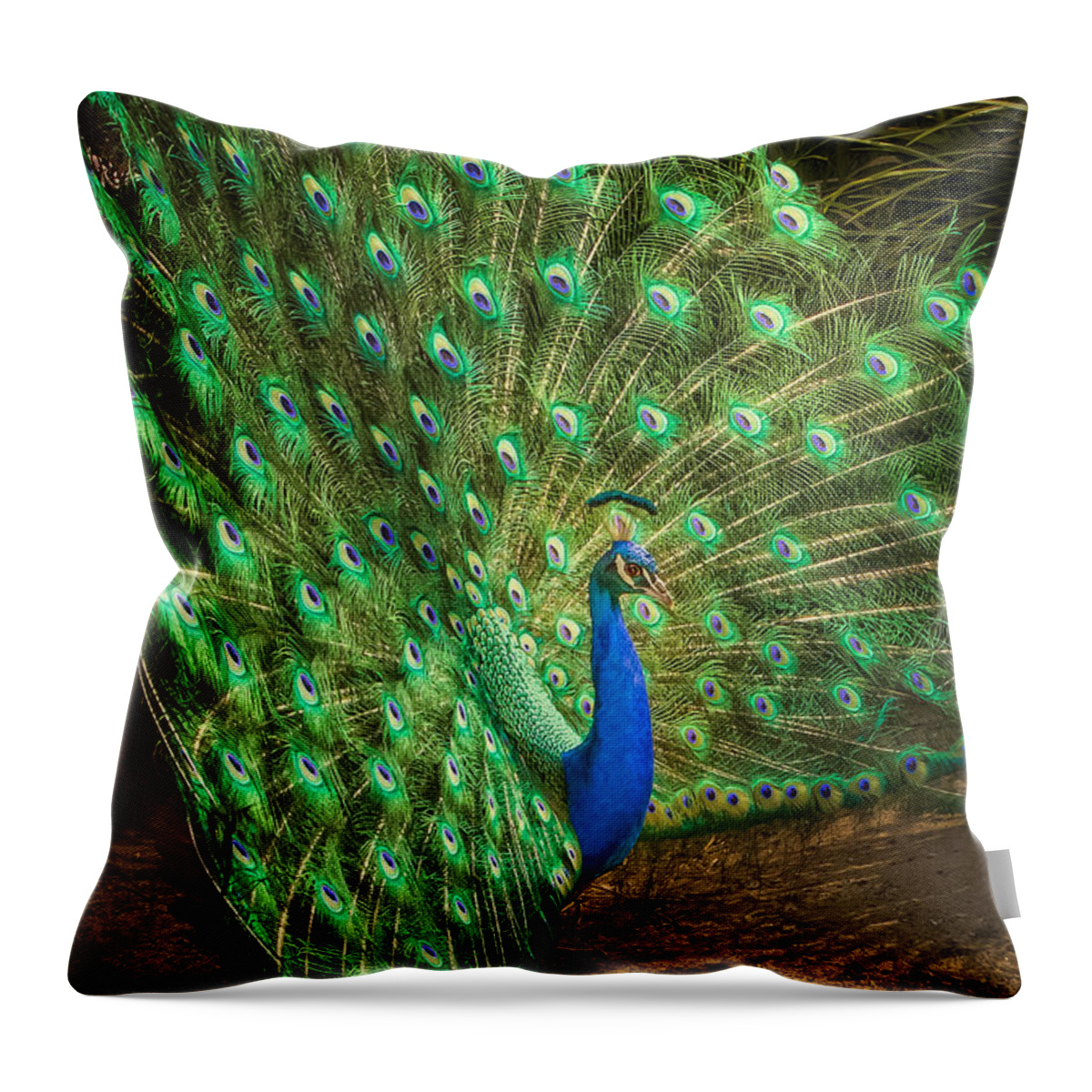 Animals Throw Pillow featuring the photograph India Blue Peacock by Rikk Flohr