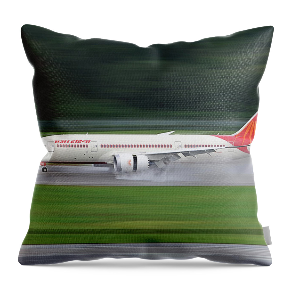 India Throw Pillow featuring the photograph India by Dr Frikkie Bekker