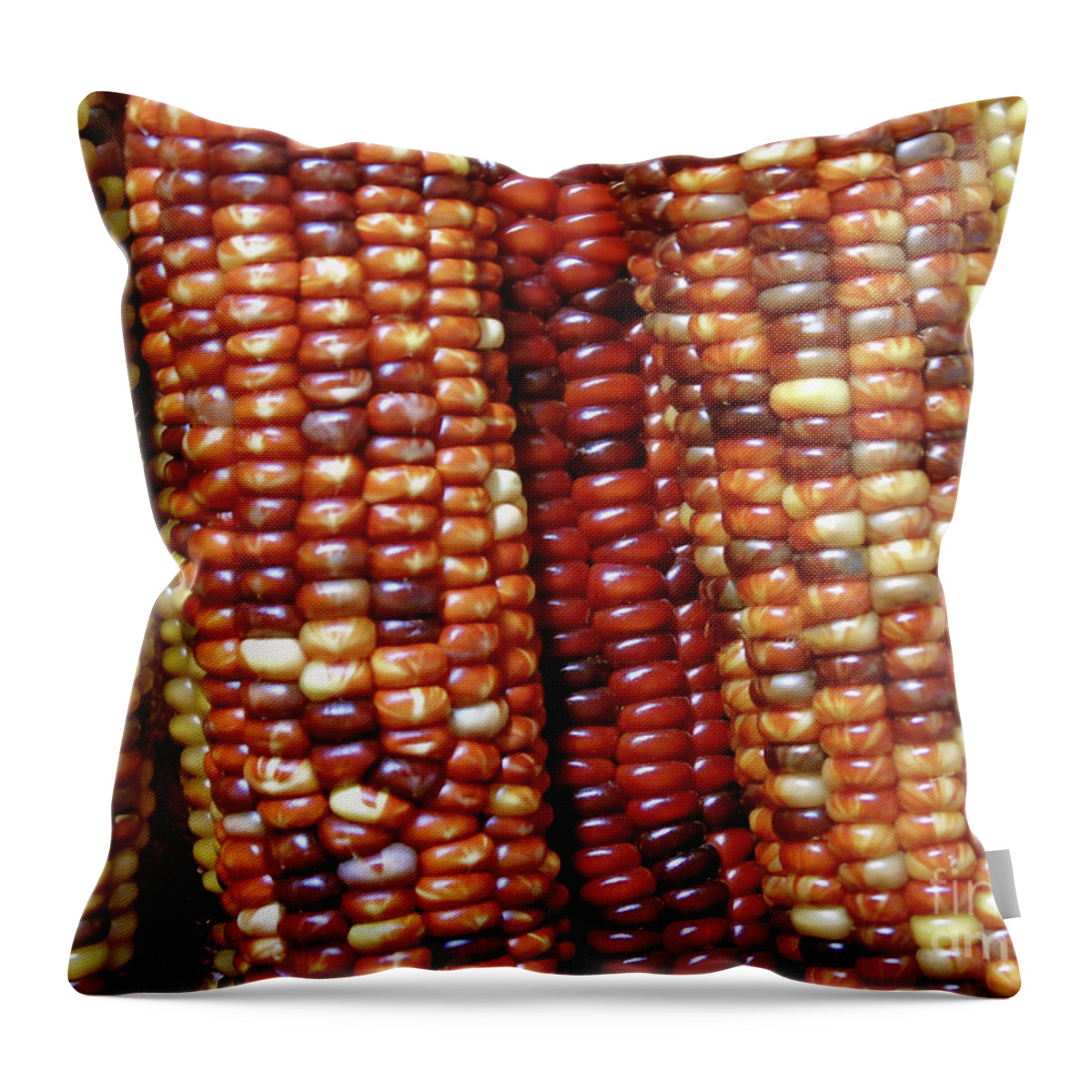 Corn Throw Pillow featuring the photograph Indian Corn by D Hackett