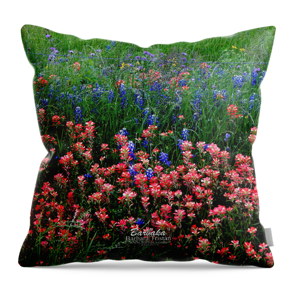Texas Throw Pillow featuring the photograph Indian Paintbrush #0486 by Barbara Tristan