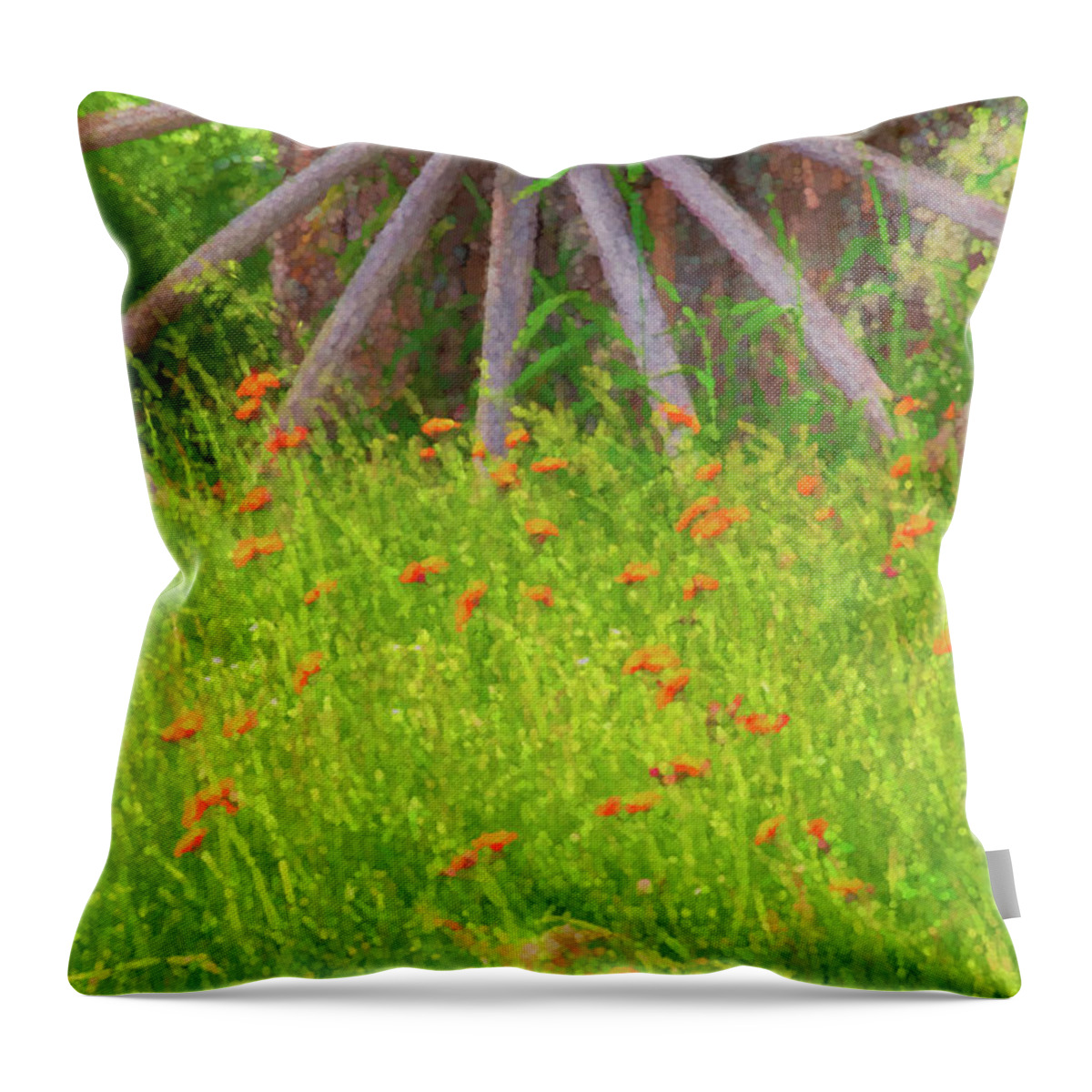 East Dover Vermont Throw Pillow featuring the photograph Indian Paintbrush Flowers by Tom Singleton