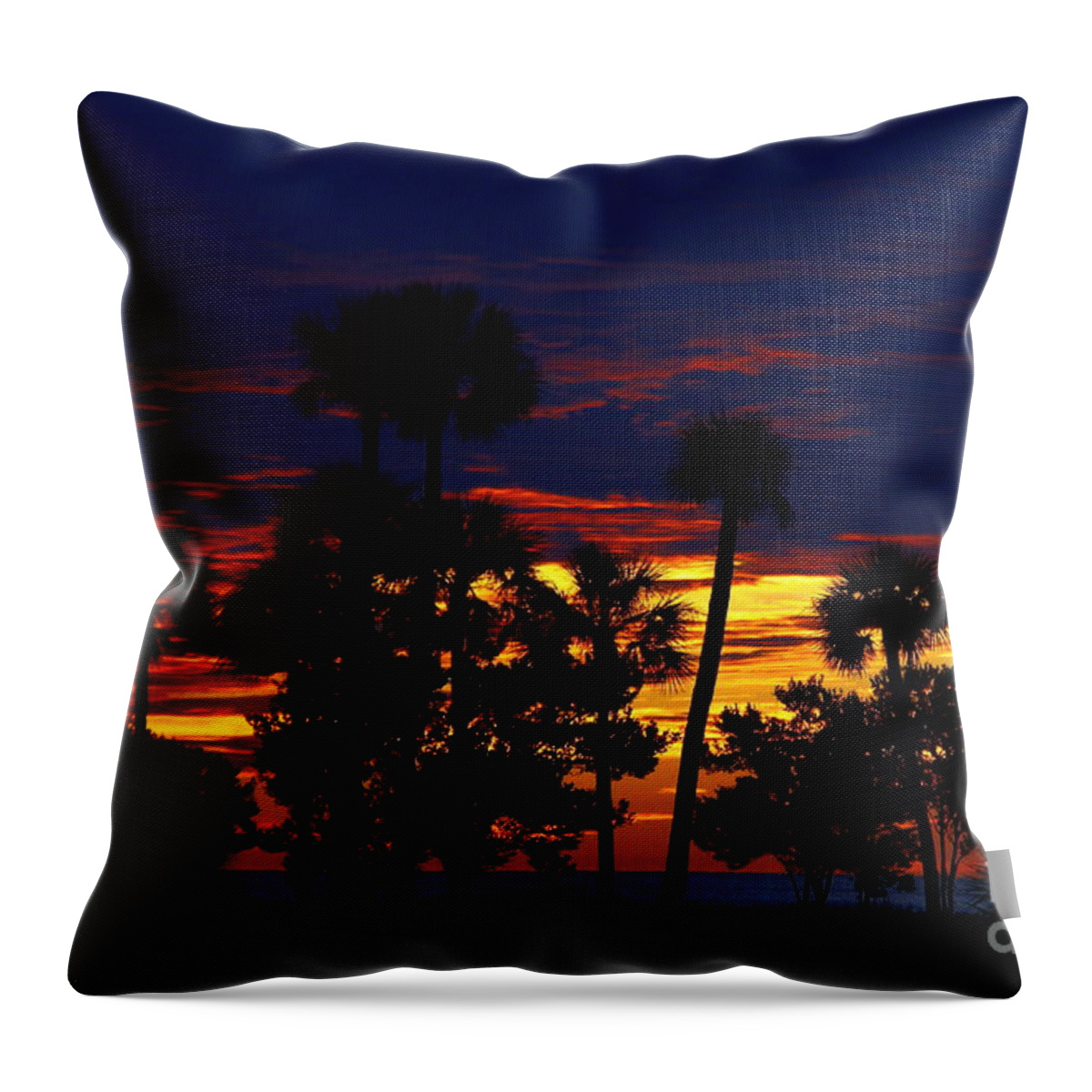 Sunset Throw Pillow featuring the photograph Indigo Sunset by Barbara Bowen