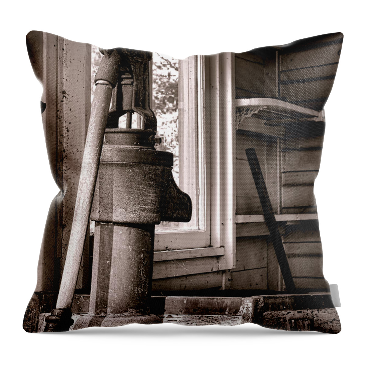 Water Throw Pillow featuring the photograph Indoor Plumbing by Olivier Le Queinec
