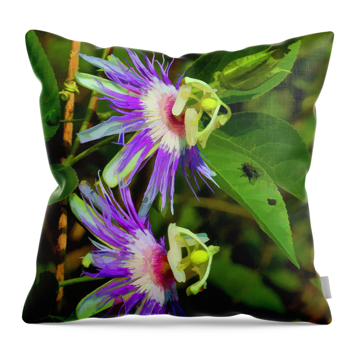 Passiflora Incarnata Throw Pillow featuring the photograph Inexplicable and Strange by Kathy Clark