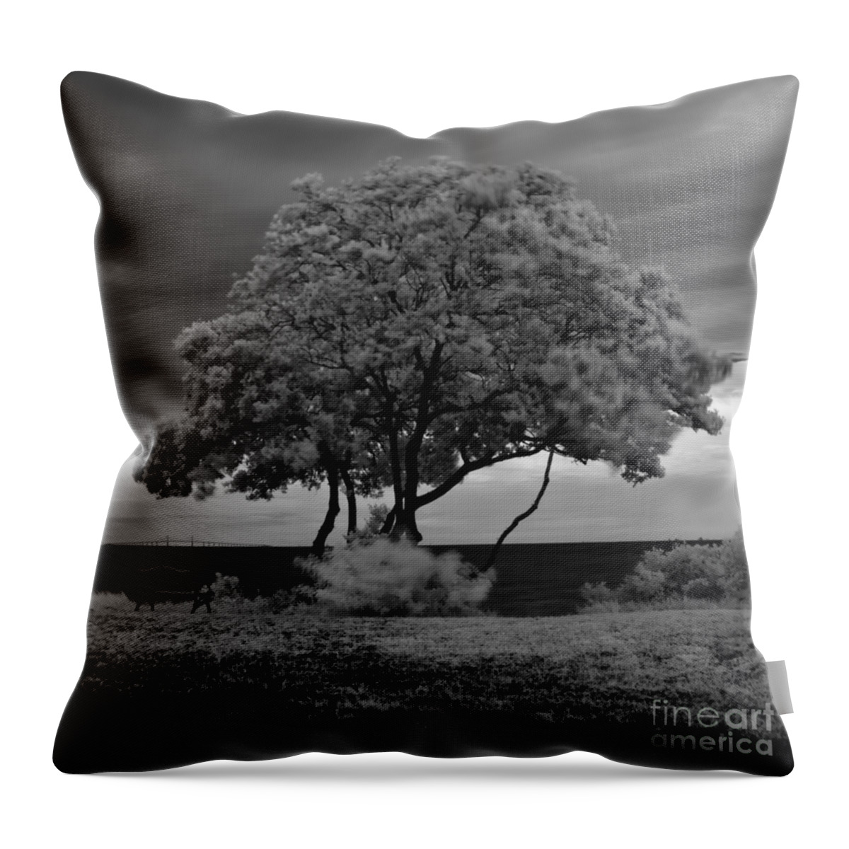 Infrared Throw Pillow featuring the photograph Infrared Tree in Front of Skyway Bridge by Rolf Bertram