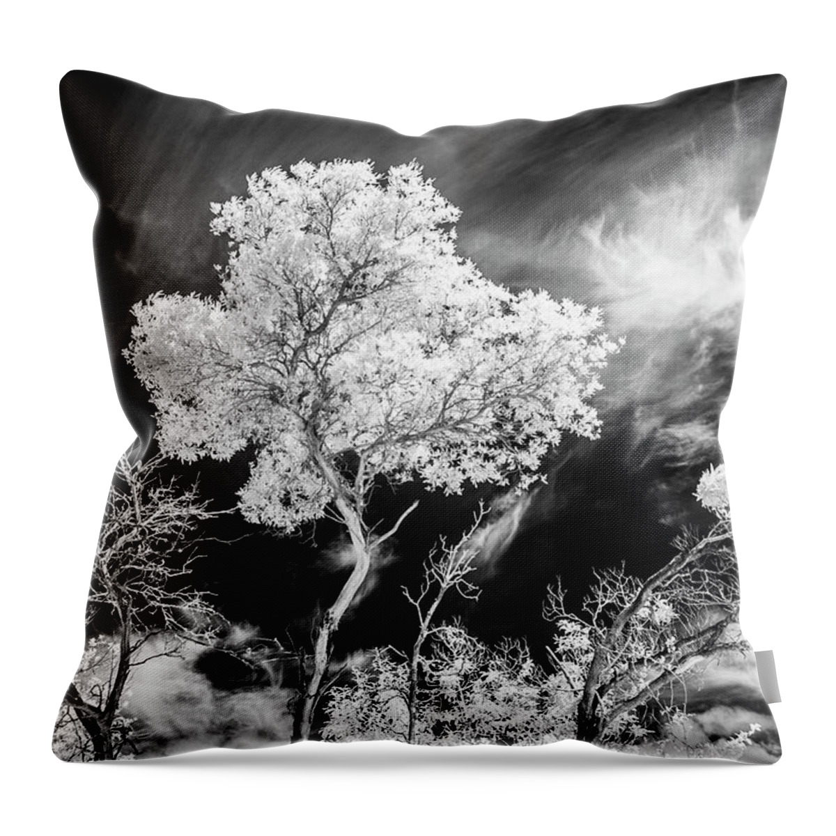 Infrared Tree Throw Pillow featuring the photograph Infrared Tree Tops by Roseanne Jones