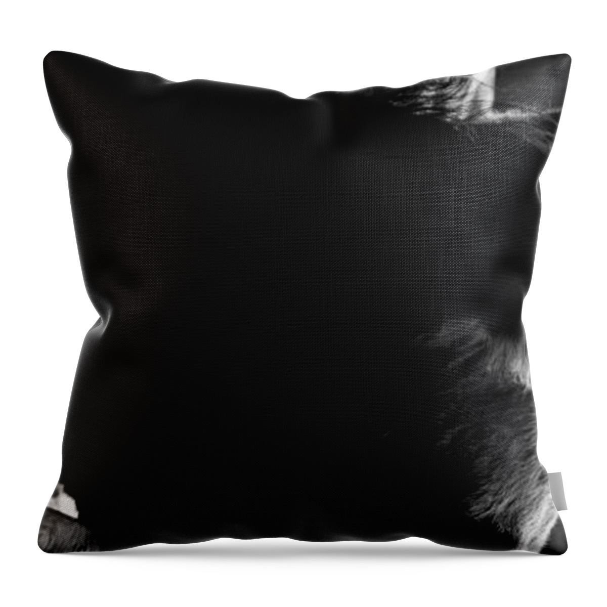 Andalusia Throw Pillow featuring the photograph Initiation 1 by Catherine Sobredo
