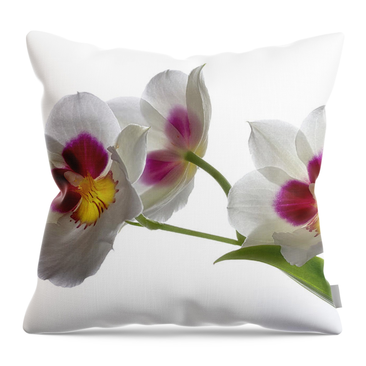 Plant Throw Pillow featuring the photograph Inner Glow by Shirley Mitchell