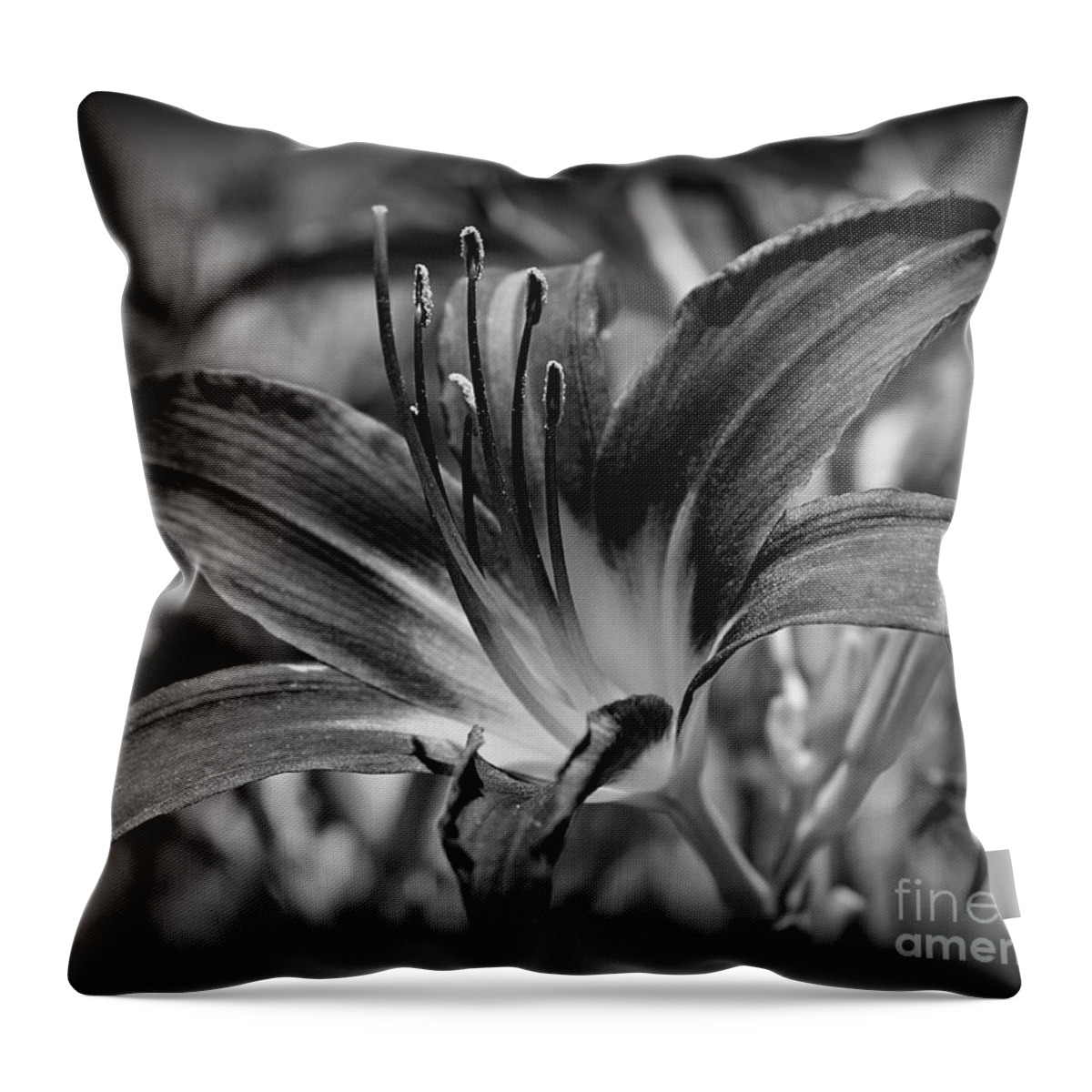 Hemerocallis Fulva Throw Pillow featuring the photograph Inner Strength by Clare Bevan