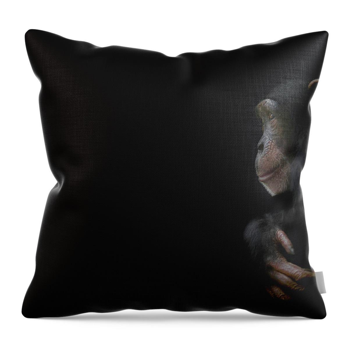 Chimpanzee Throw Pillow featuring the photograph Innocence by Paul Neville