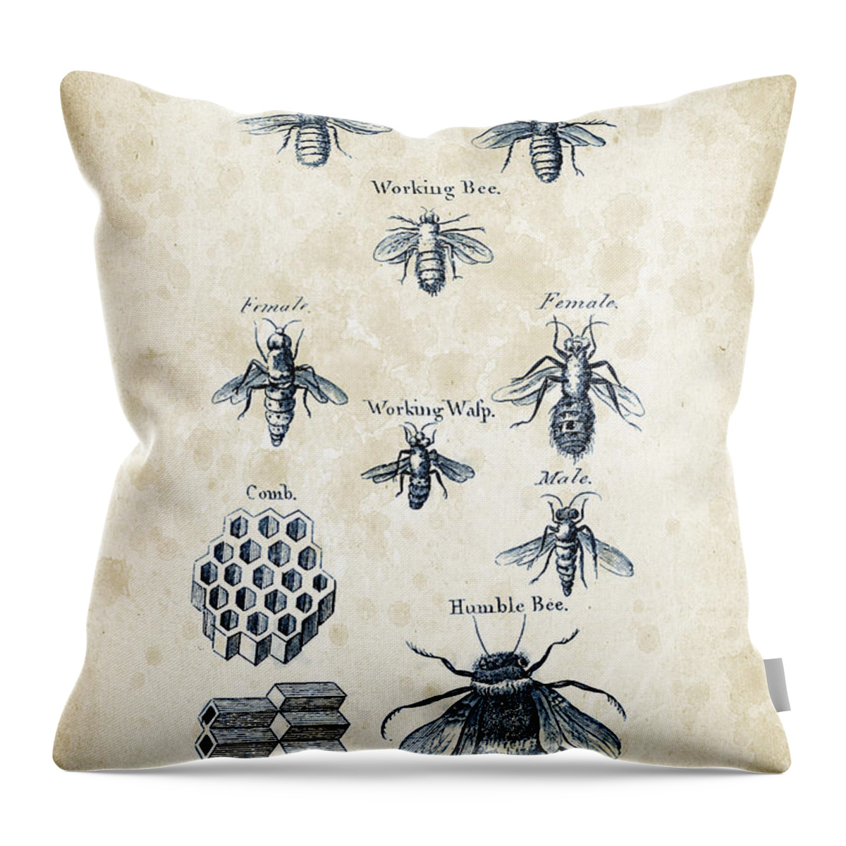 Bee Throw Pillow featuring the digital art Insects - 1792 - 14 by Aged Pixel