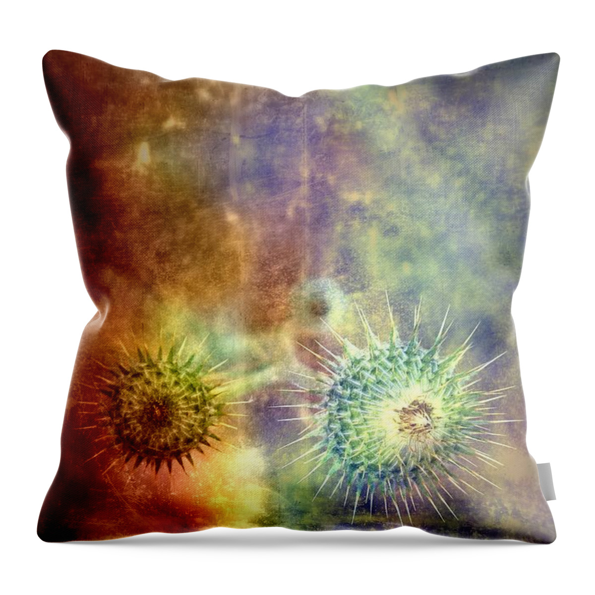 Thistle Throw Pillow featuring the photograph Inside by Mark Ross