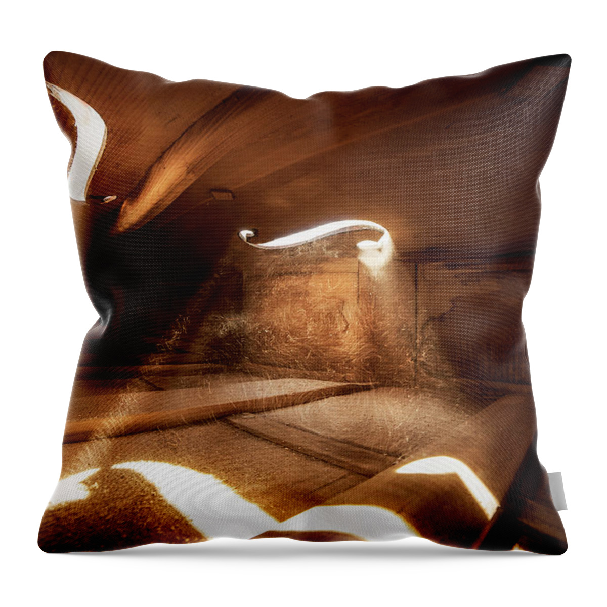 Violin Throw Pillow featuring the photograph Inside Violin III by Adrian Borda
