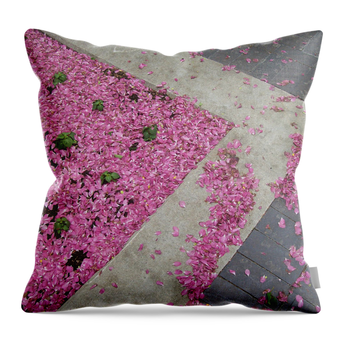 Nature Throw Pillow featuring the photograph Integrity by Mary Mikawoz