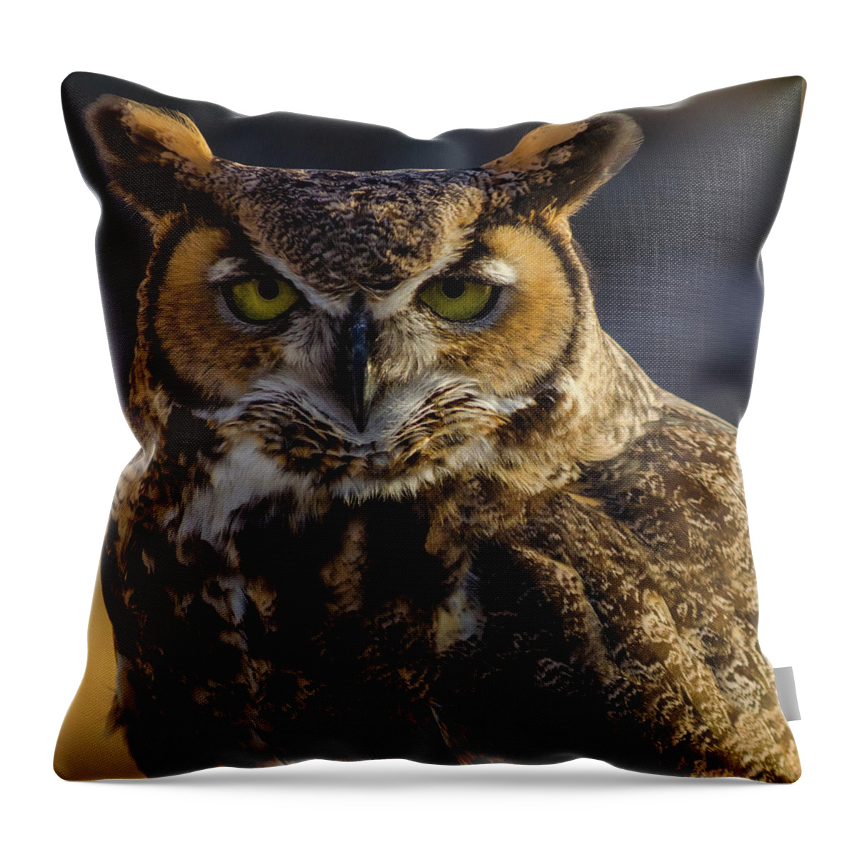 Owl Throw Pillow featuring the photograph Intense Owl by Douglas Killourie