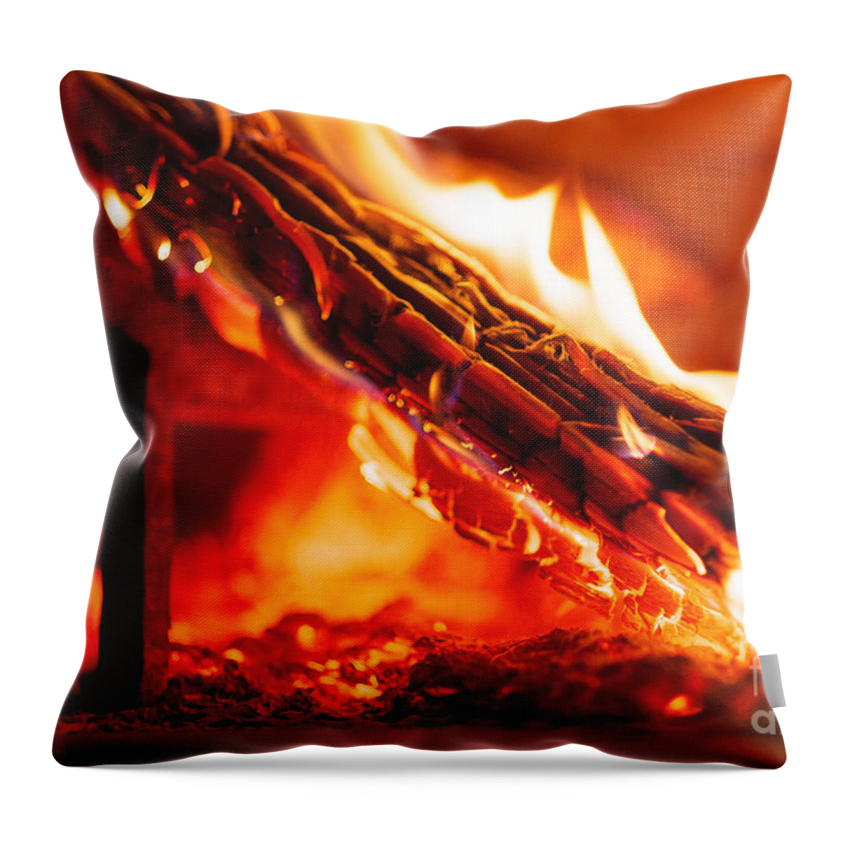Brick Throw Pillow featuring the photograph Interior Of Wood Fired Brick Oven With Burning Log by JM Travel Photography